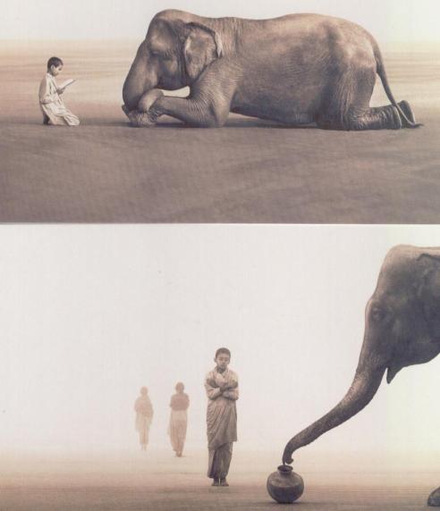 elefantes1.jpg