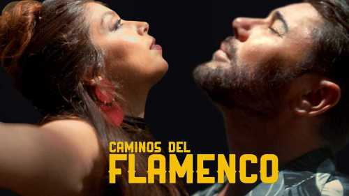 Caminos del flamenco
